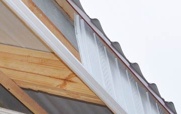 why Lyons Gate fascia repairs are essential