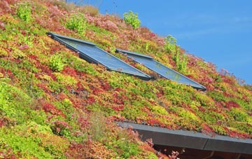 Lyons Gate living roof systems